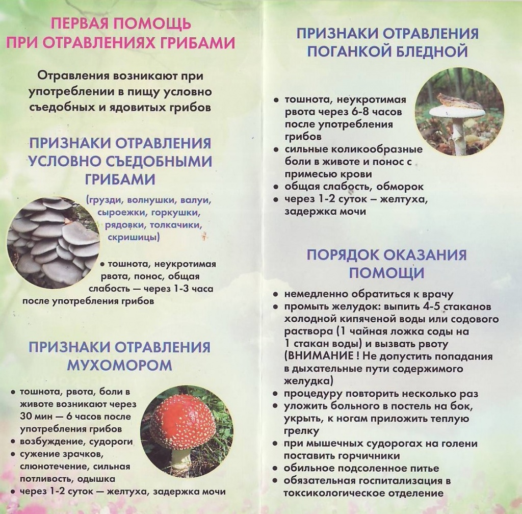Как выглядит отравление грибами ГБУЗ ССМП